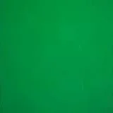 Original Spectrum Dark Green Transparent Stained Glass Sheet, 125, 8x12"