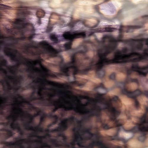 Vintage 1996 Santa Cruz Manganese Purple and White Oceana Stained Glass Sheet, 624