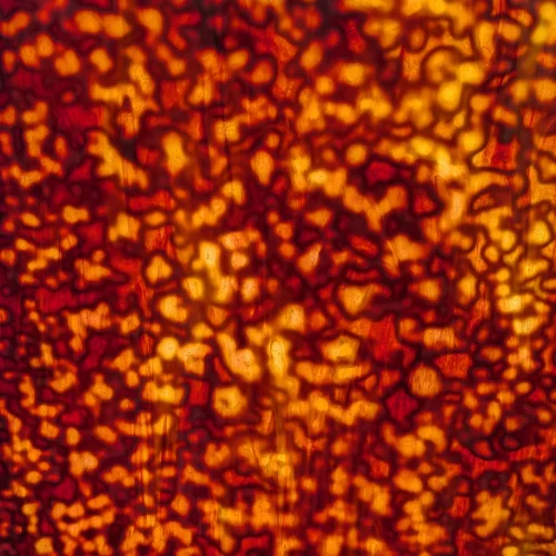 Youghiogheny Oceana Silver Yellow & Dark Red Mottled Stained Glass Sheet, 600